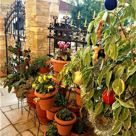Sunny House - ηλιόλουστο Apartment Volos